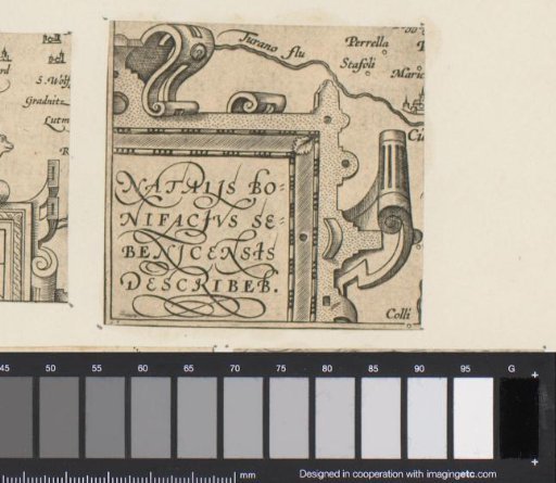 Corner cartouche with scrollwork