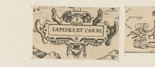 Small cartouche with leafy tendrils and garland