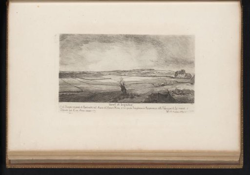 Landscape with a tree stump