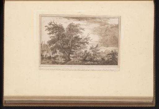 Landscape with two trees in a shallow lake
