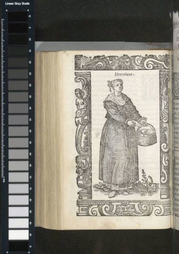 Marktvrouw uit de stad Chioggia