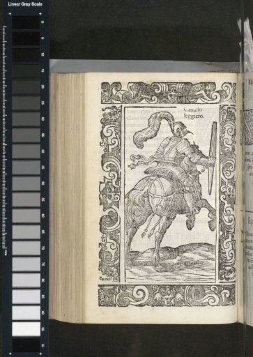 Light Horse