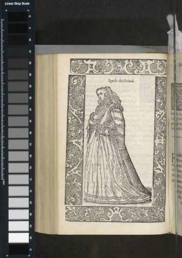 Brides of Friuli