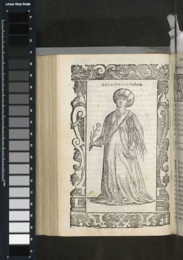 Ancient Woman of Padua