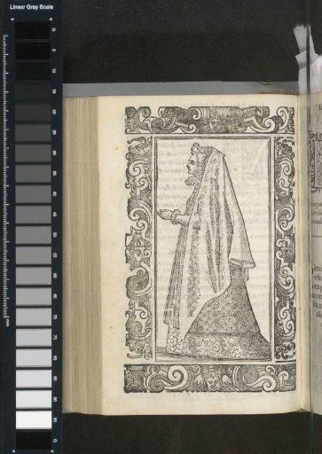 Modern Noblewoman of Padua