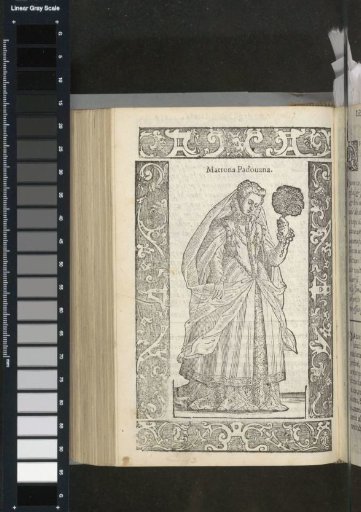 Matron of Padua