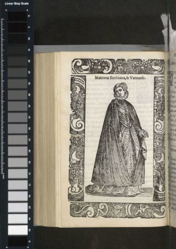 Brescian and Veronese Matron