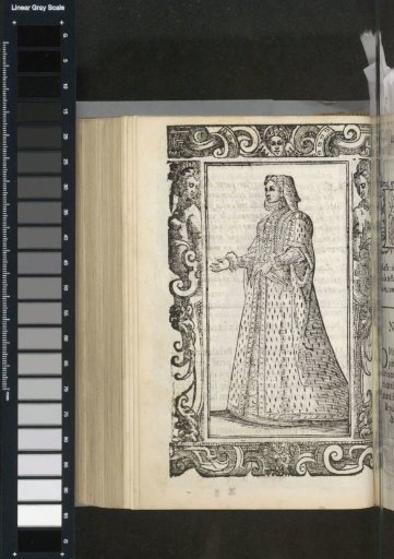 Noble Brescian Lady
