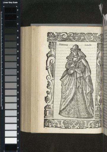 Matron of Siena