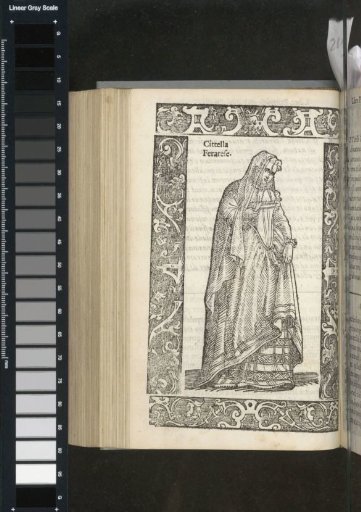 Ferrarese Citella