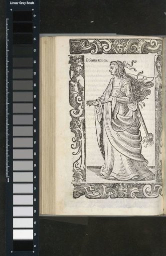 Ancient Lady