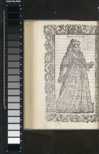 Married Noble Lady from the Kingdom of Naples