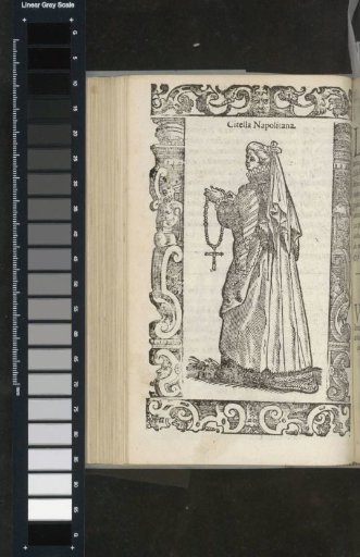 Neapolitan Citella