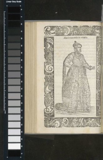 Ornate Noble Matron