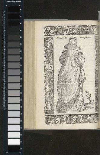 Noble of Avignon