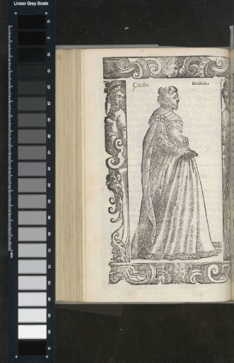 Noble Citella (French)