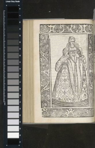 French noble matron
