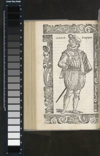 Nobleman of Burgundy