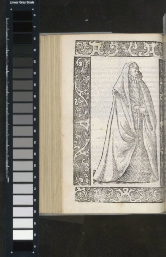 Spanish noble matron