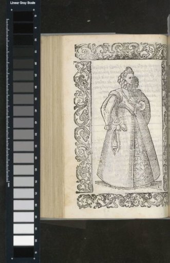 Spanish noblewoman at the festivities