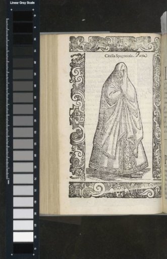 Spanish maiden