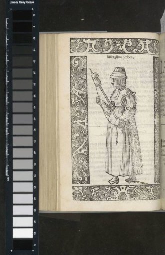Peasant woman from Biscay