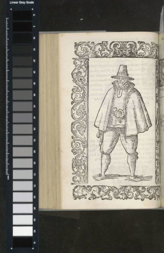 English Merchant