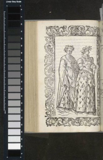 Noble Brides of Norway