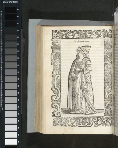 Ornate noblewoman