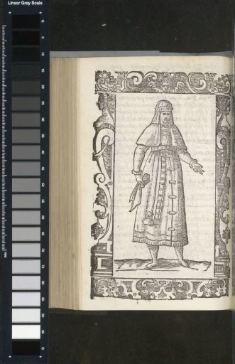 Lady of Alsatia