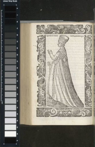 Ornate Bride of Nuremberg
