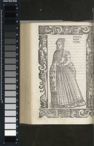 Ornate Noble Matron