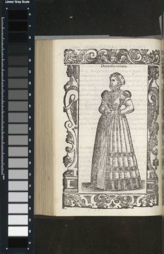 Ornate Maiden