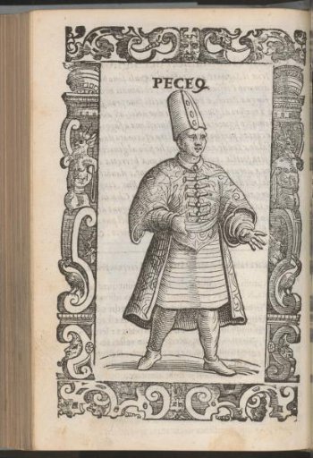 Peceq