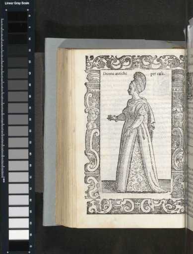 Noble Venetian in indoor costume