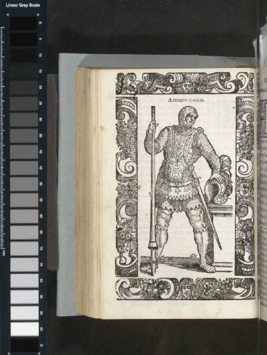 Ancient armed man