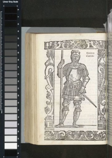 Man of arms