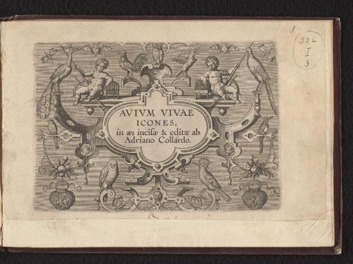 Title Page of Birds in Living Images Engraved and Published by Adriano Collardo
