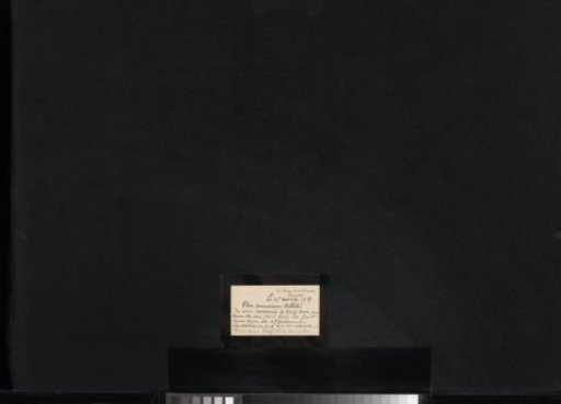 Letter to August Allebé