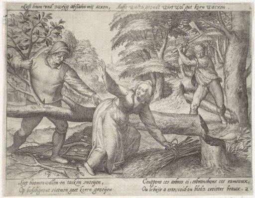 Reclamation of the Forest