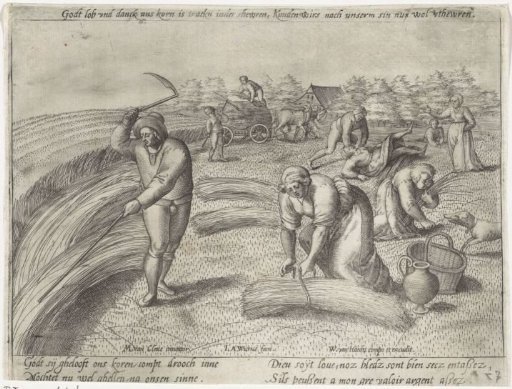 The Harvest