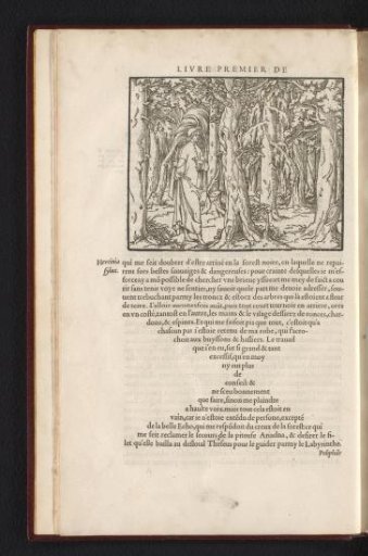 Poliphilo enters a densely wooded forest