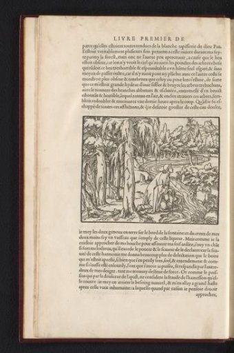 Poliphilo wishes to drink from the river and hears singing
