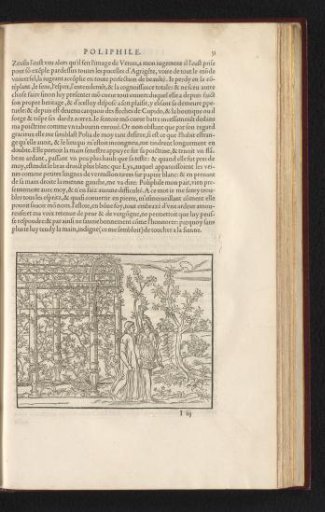 Poliphilo carried away by a nymph with a torch