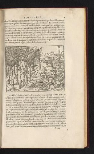 Poliphilo follows a wolf to the ruins of a city