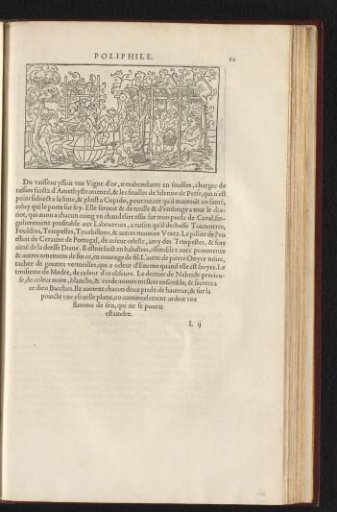 Group of putti around grapevines and a vat