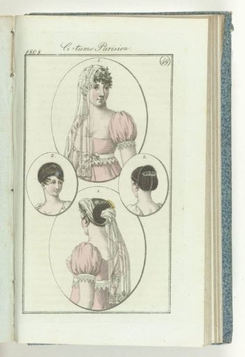 Journal des Dames et des Modes, Frankfurt edition 4 December 1808, Parisian Costume (49)