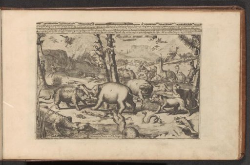 Asian and African animals