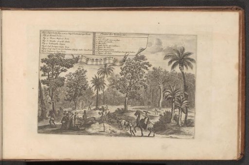 Trees and spices