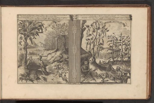 Plants, birds, and pepper fields